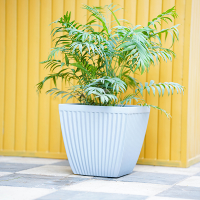 Planters