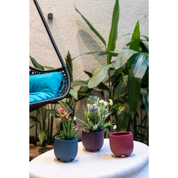 Moss set of 3 combo terracotta planters