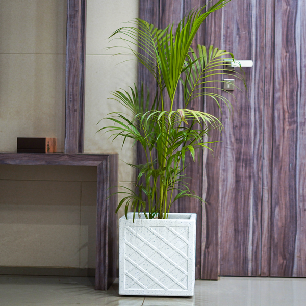 CRISS CROSS FIBRE PLANTER