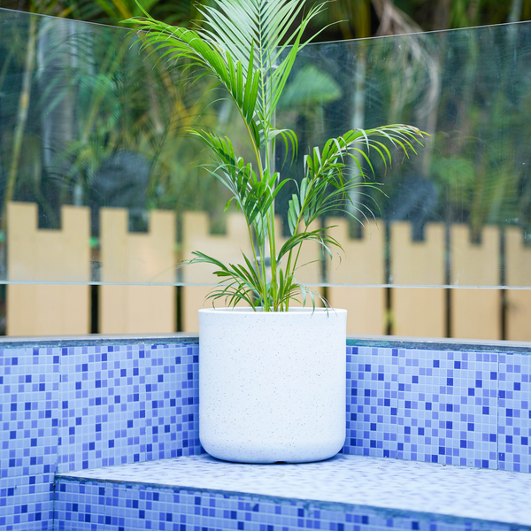 CUBA FIBRE PLANTER